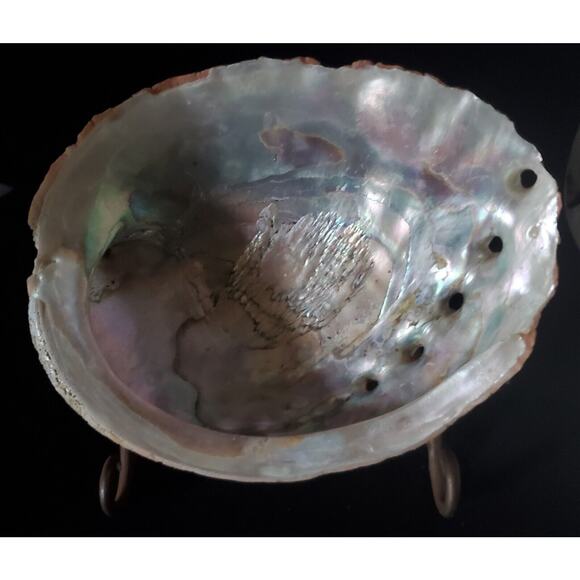 Vintage Large Red Abalone Shell Exquisite Specimen 7.5" Long X 6" Wide X 2" High - Picture 1 of 10